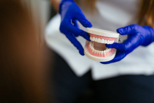 Best Periodontal (Gum) Disease Treatment  in Lower Grand Lagoon, FL